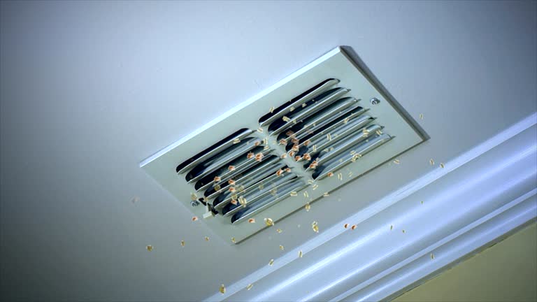 Best Commercial Air Duct Cleaning  in Brandywine Bay, NC